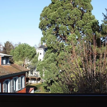 Superb Apt- Garden- 3 Parkings, Near Petite Venise ! Колмар Екстериор снимка