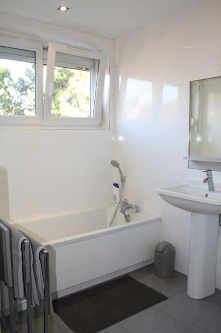 Superb Apt- Garden- 3 Parkings, Near Petite Venise ! Колмар Екстериор снимка