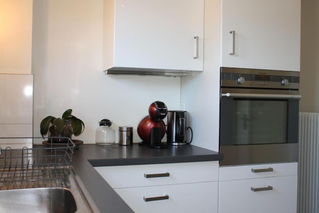 Superb Apt- Garden- 3 Parkings, Near Petite Venise ! Колмар Екстериор снимка