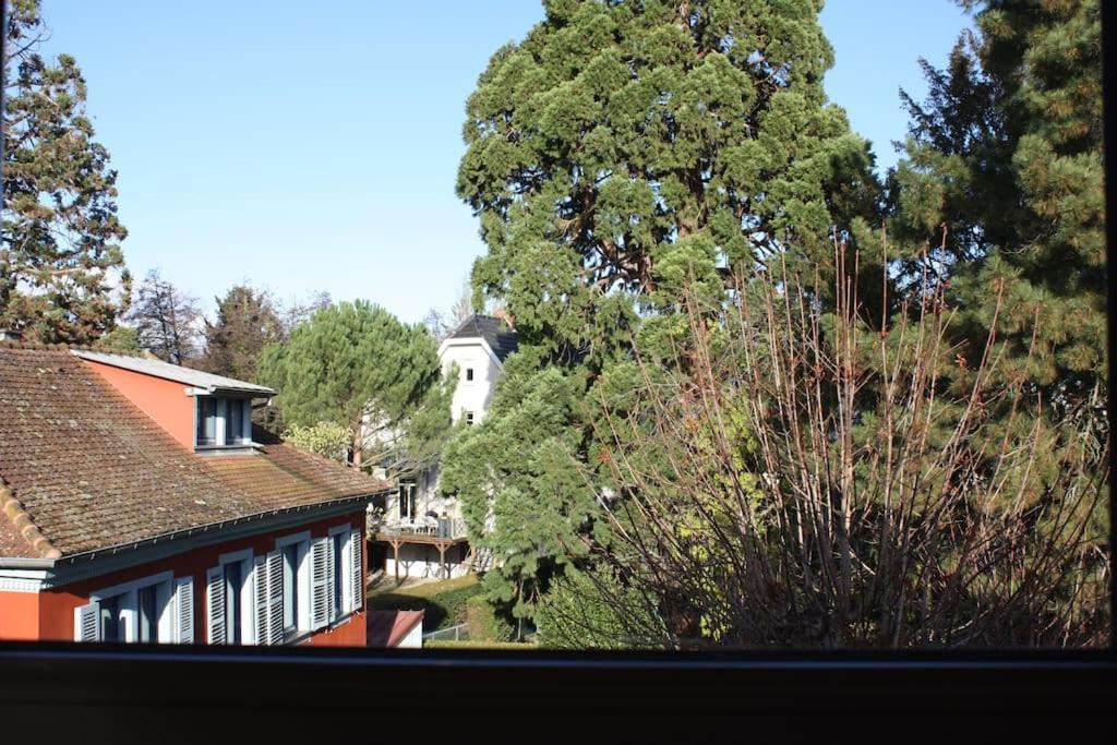 Superb Apt- Garden- 3 Parkings, Near Petite Venise ! Колмар Екстериор снимка