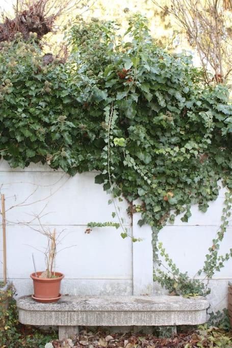 Superb Apt- Garden- 3 Parkings, Near Petite Venise ! Колмар Екстериор снимка